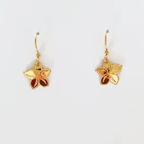 Star Plumeria Melia